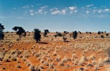Untouched Botswana with Zambia's National Parks & Victoria Falls